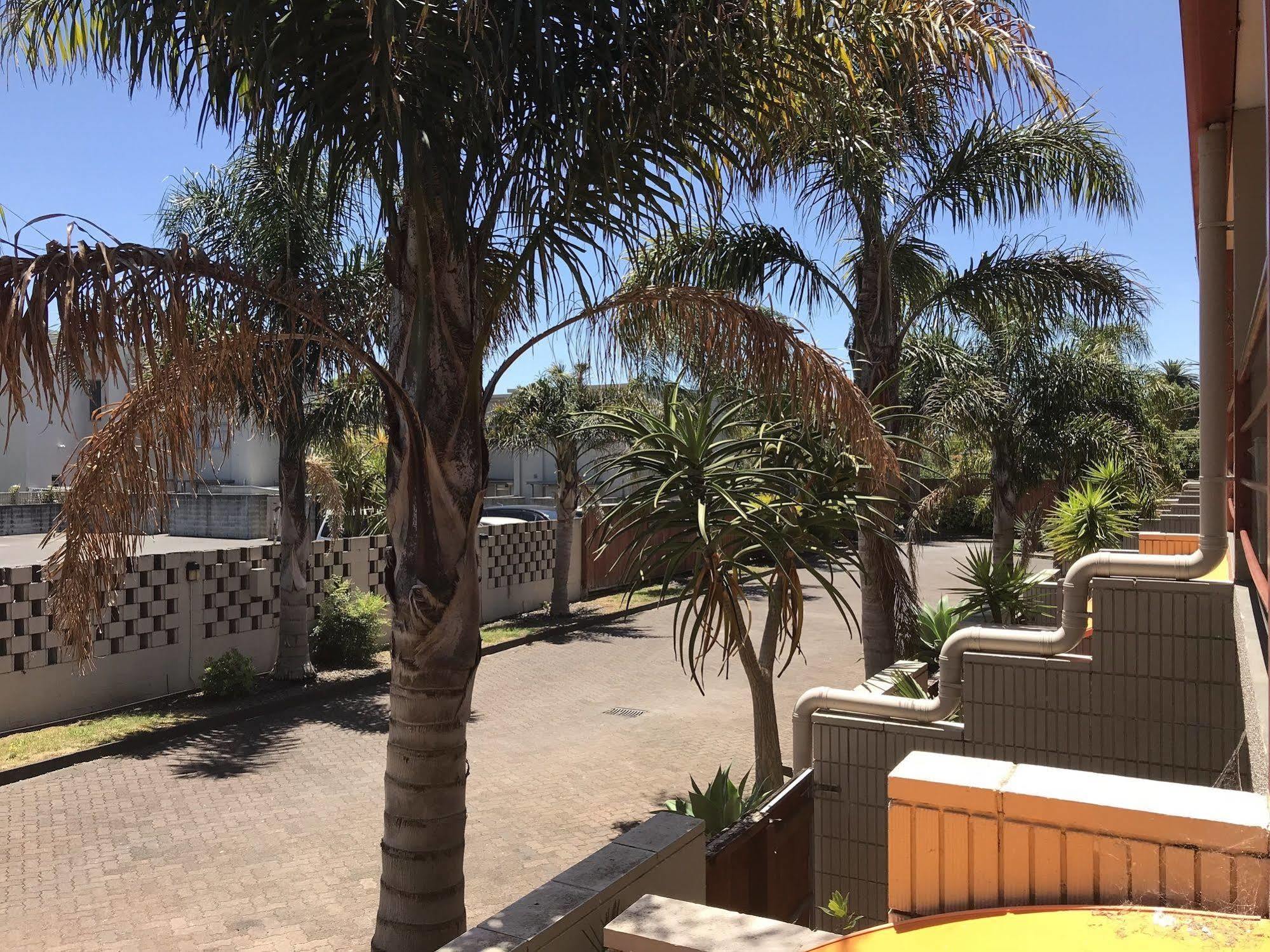 Ascot Epsom Motel Auckland Exterior foto